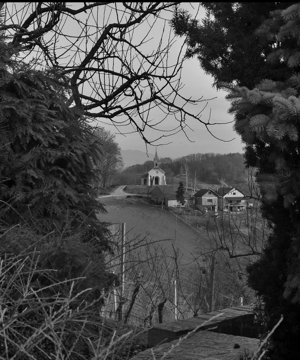 Vinarija Petrac, Hrsak breg