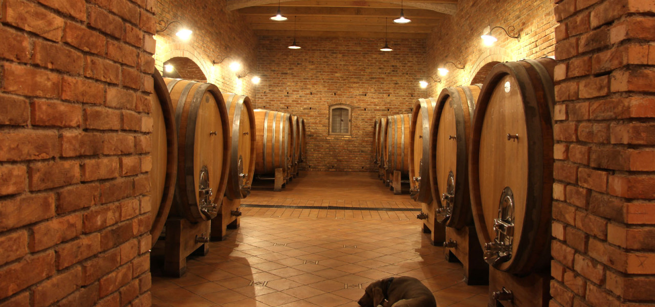 petrac-winery-cellar-1