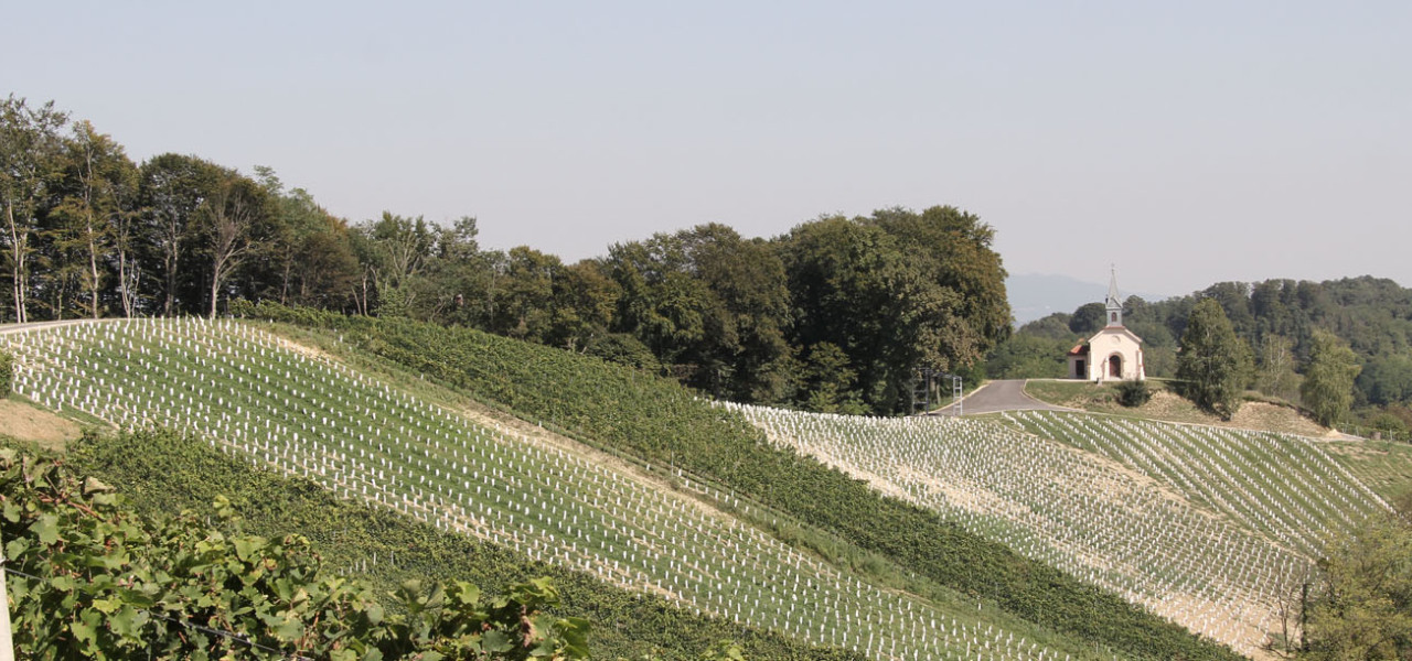 saint-antuns-chapel-cover