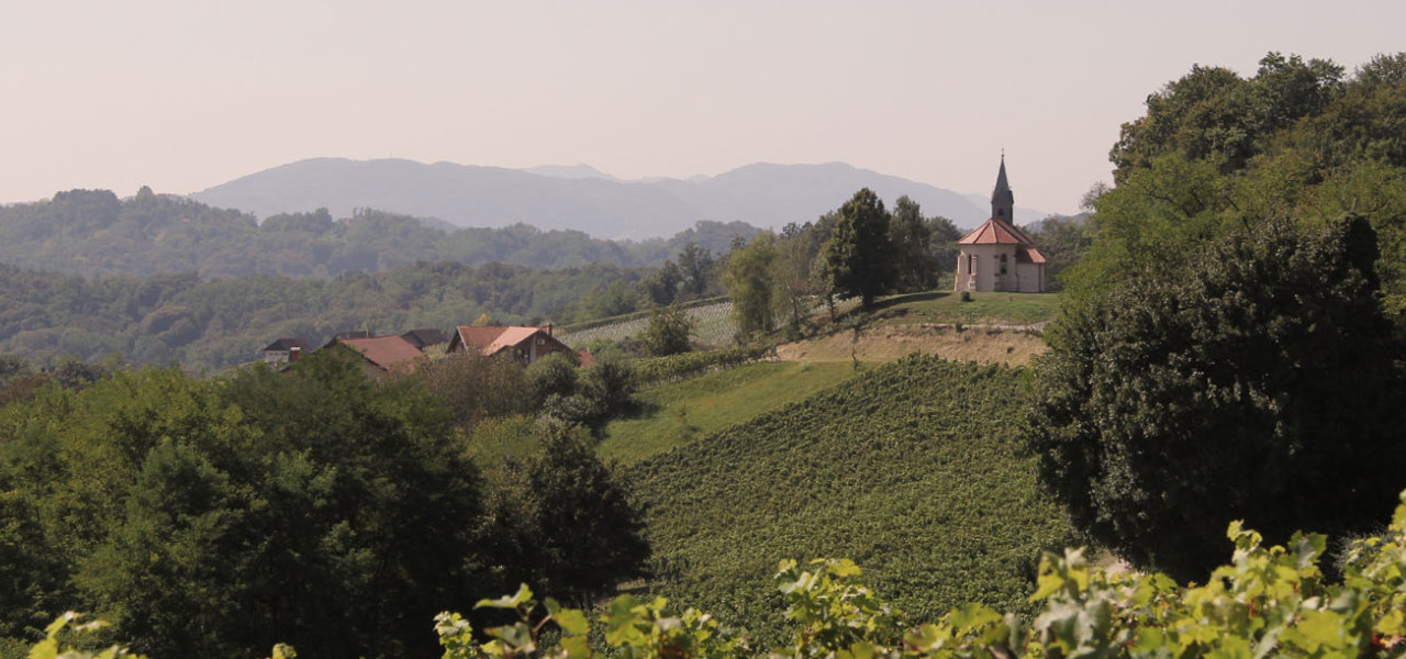 saint-antuns-chapel-wineyard